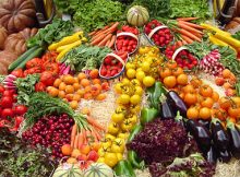 Opções de Proteína para Vegetarianos | Preço de Convênio Médico