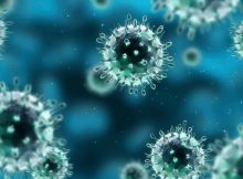 Vacina: Gripe comum pode matar! Previna-se - Tabelas Convênios