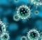 Vacina: Gripe comum pode matar! Previna-se - Tabelas Convênios