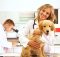 Health for Pet rede credenciada: Lista do Pet Basic - Tabelas Convênios