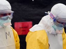 Vírus Ebola: Conheça o vírus que causou surto e terror novamente